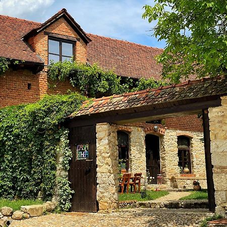Casa Thea Cheile Nerei Sokolar Exterior foto