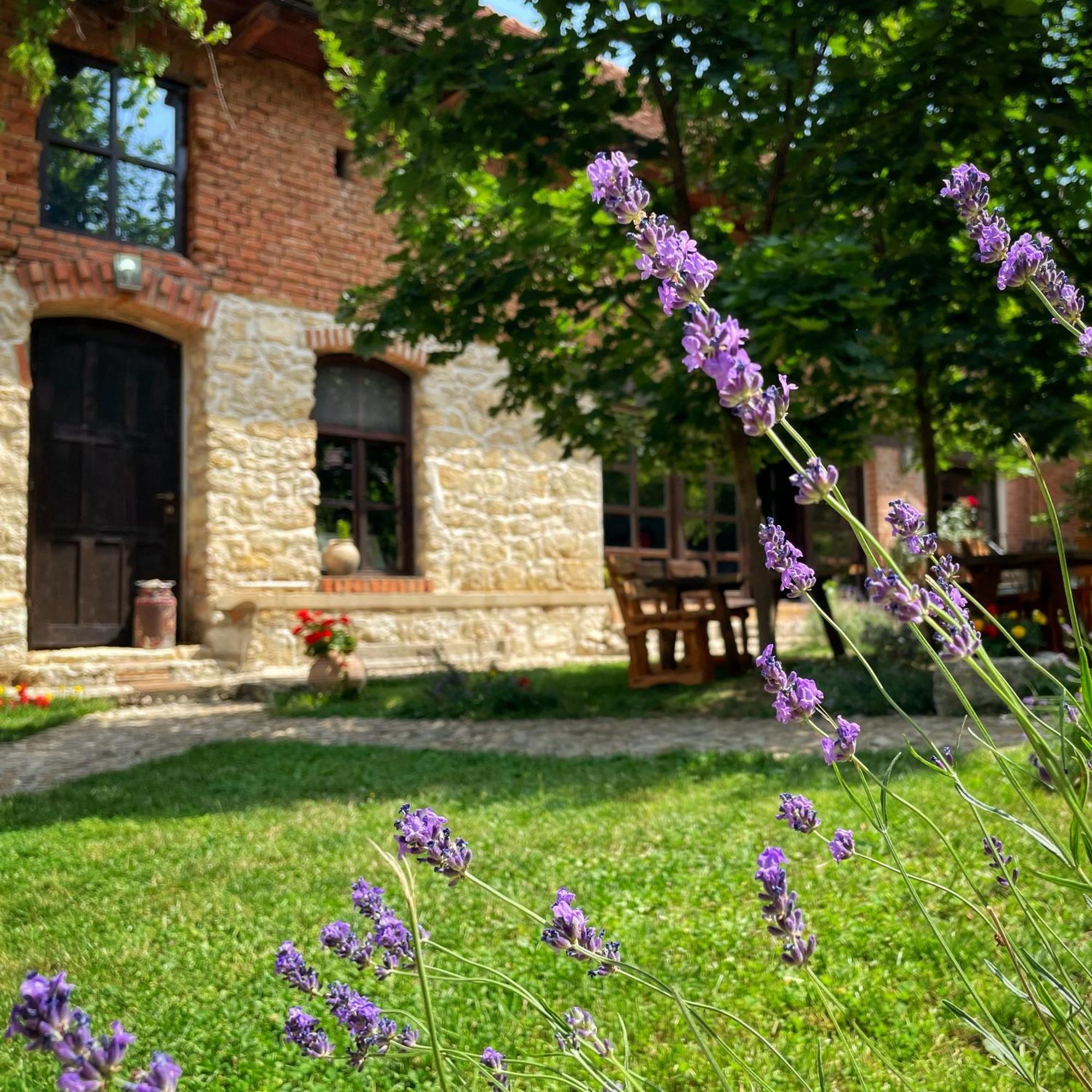 Casa Thea Cheile Nerei Sokolar Exterior foto